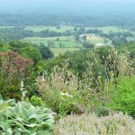 Jamie Purinton Landscape Architecture, taconic view