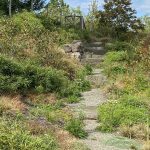 Jamie Purinton Residential Landscape Architecture - bank walk and steps Judith Meier