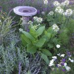 Jamie Purinton Landscape Architecture - Malin Goetz annuals