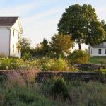 Jamie Purinton Landscape Architecture - Malin Goetz fieldstone wall
