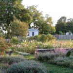 Jamie Purinton Landscape Architecture - Malin Goetz gardens