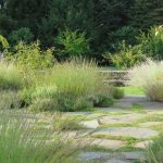Jamie Purinton Landscape Architecture - Malin Goetz lavender stone